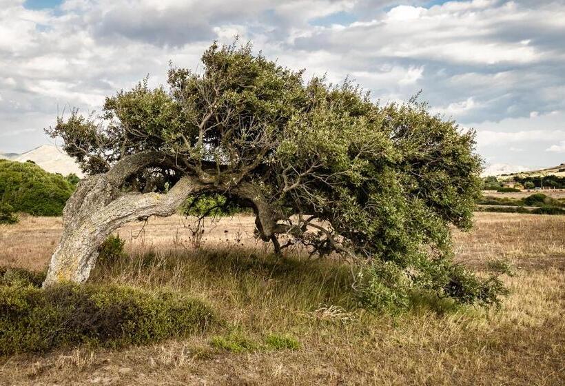 مبيت وإفطار Luvias Spa