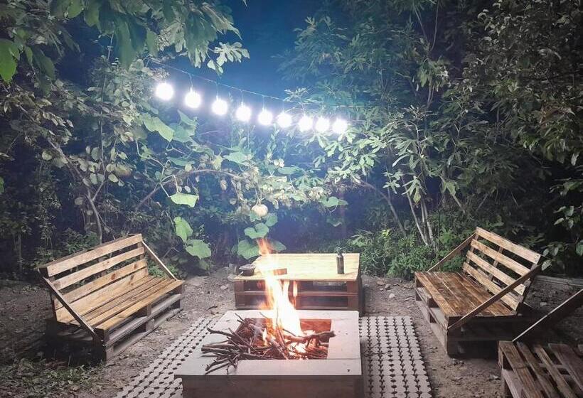 تختخواب و صبحانه Nargizaanta