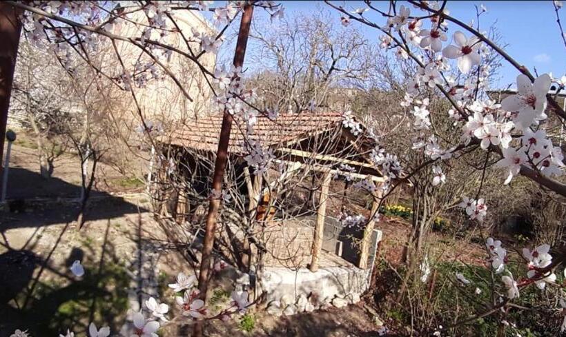 تختخواب و صبحانه Nargizaanta