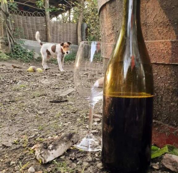 تختخواب و صبحانه Nargizaanta