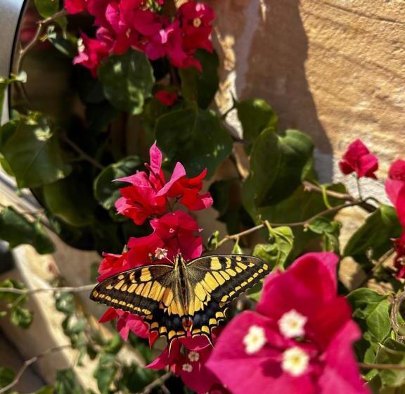 تختخواب و صبحانه Ta Pinu Spa Suite Luxury Heritage Living