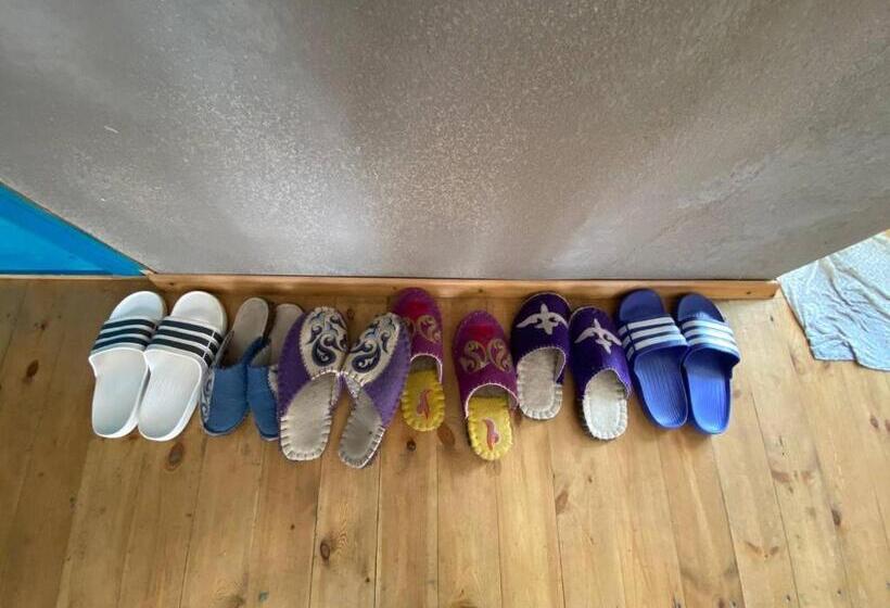 Darya Hostel Jyrgalan