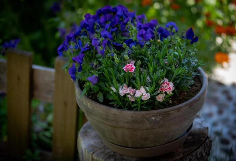 Отель Agriturismo Maso Giomo