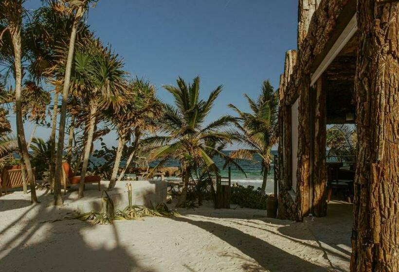 酒店 Casa Phoenix Tulum