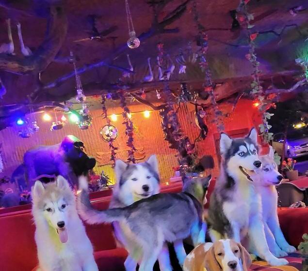 호텔 Shivaaz Holiday Farms   Near Mopa Airport Goa