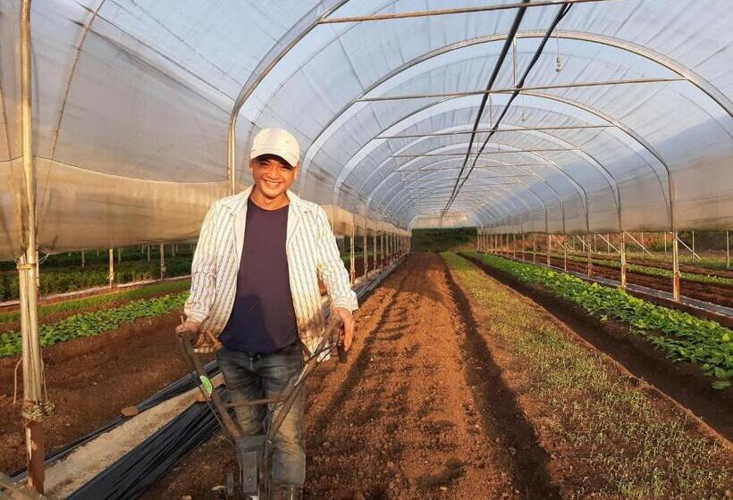 هتل Todo Farm   Organic Farming & Retreat