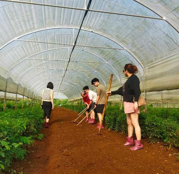 هتل Todo Farm   Organic Farming & Retreat