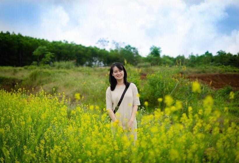 هتل Todo Farm   Organic Farming & Retreat