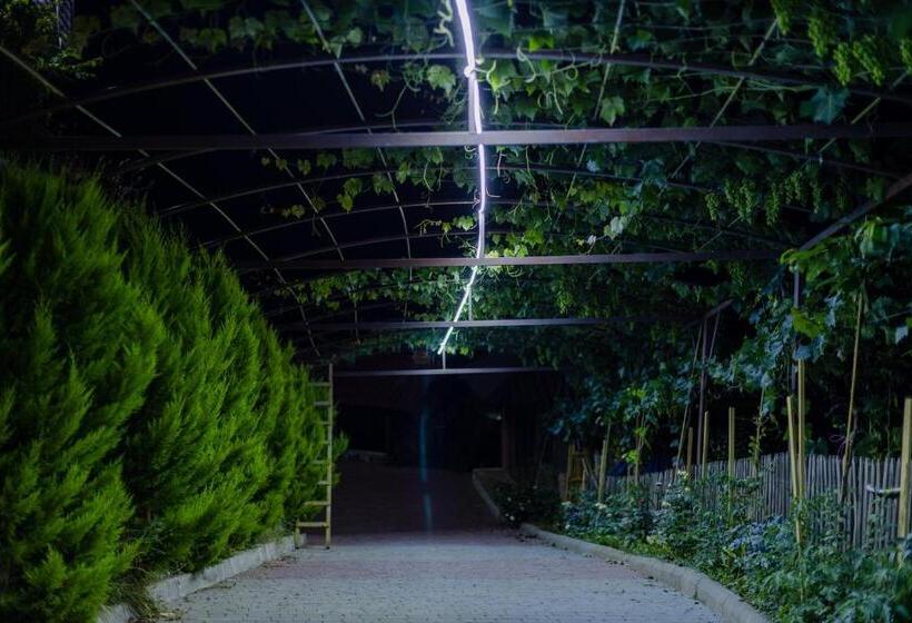 هتل Vaio Resort In Keda