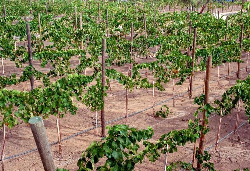 فندق Villa Quinta Estrella