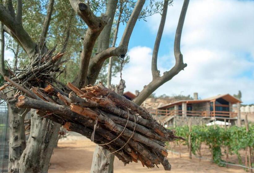 فندق Villa Quinta Estrella