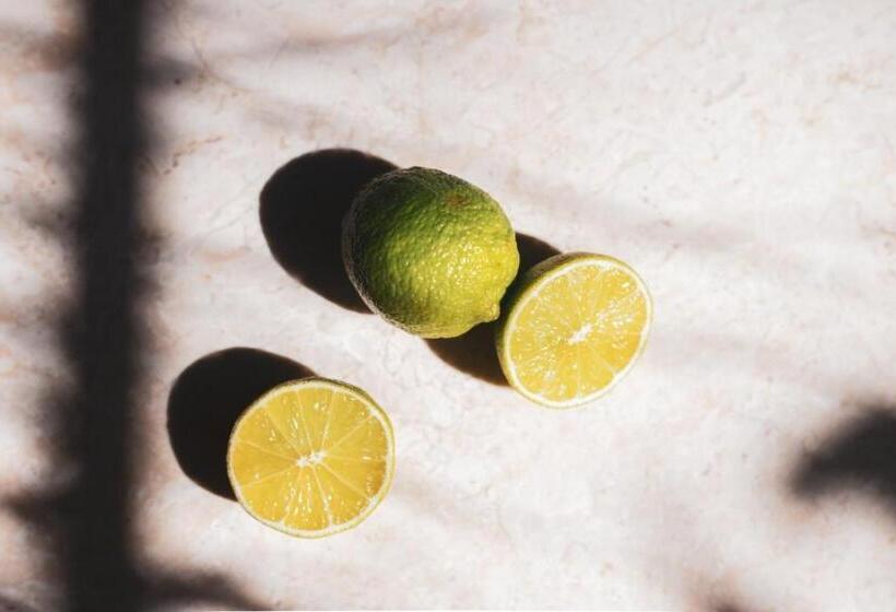 Panjur Hotel Söğüt Village