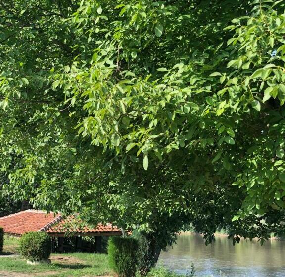 پانسیون Apartmani Morava 54