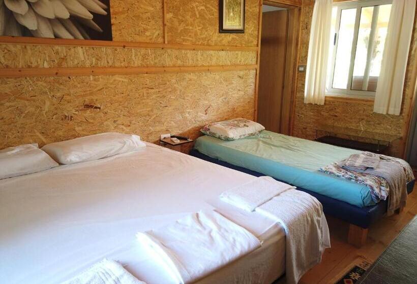 Пансион Bujtina Vjosa