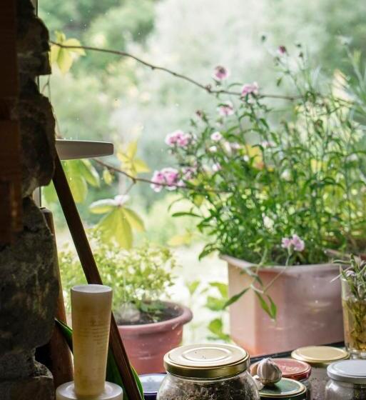 膳宿费 Ferma Albanik