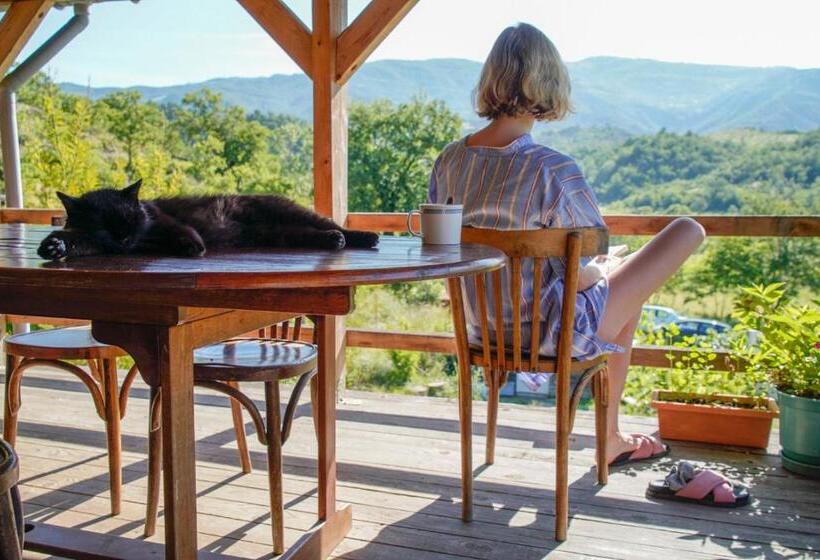 膳宿费 Ferma Albanik