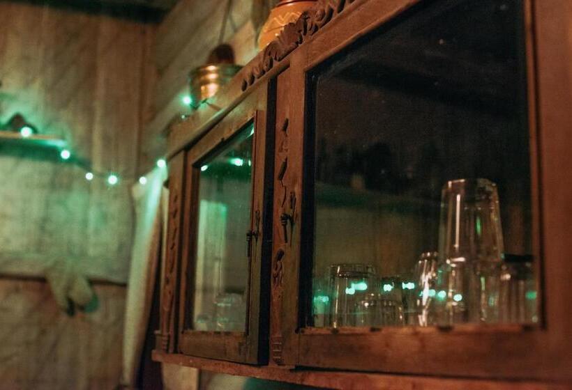 پانسیون Sunny Nights Homestead Historic House