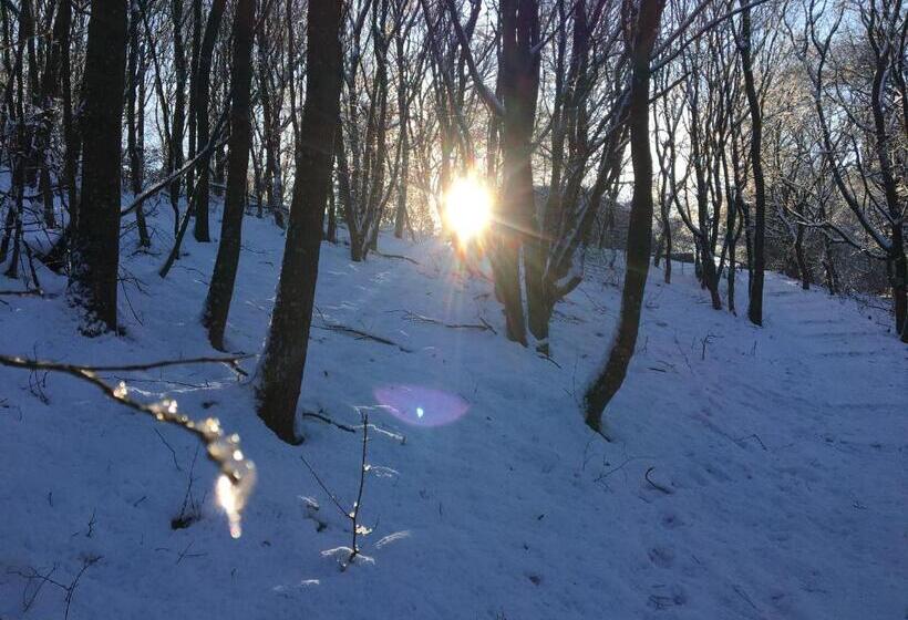 ペンション Tugári Vendégház