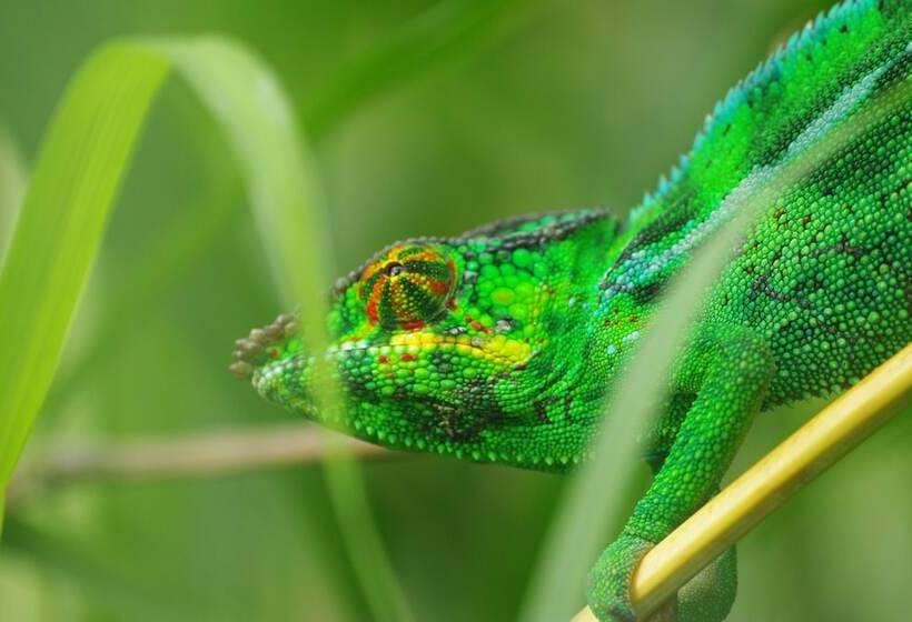 펜션 Villa Garriga