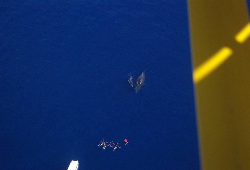 펜션 Villa Garriga