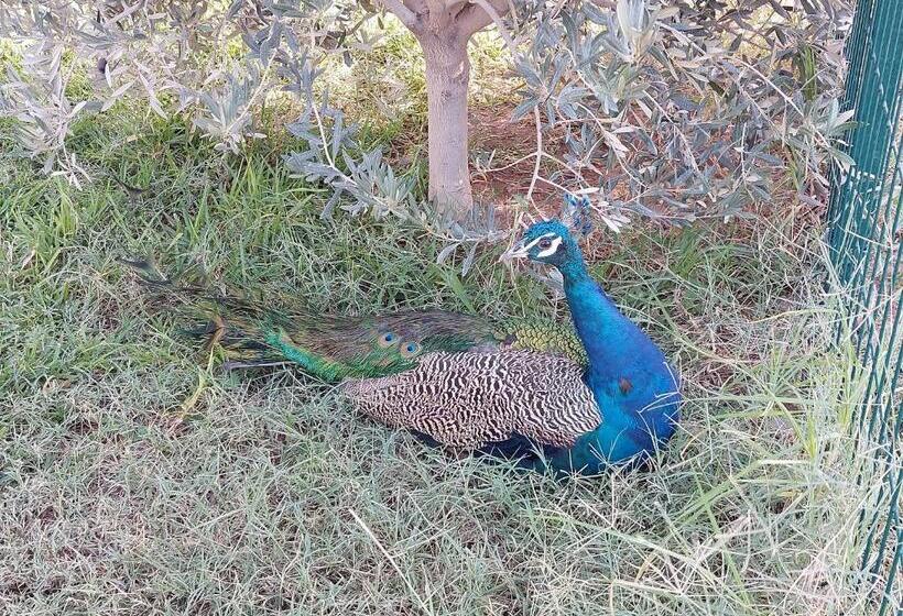 펜션 Villa Giulia & Soley