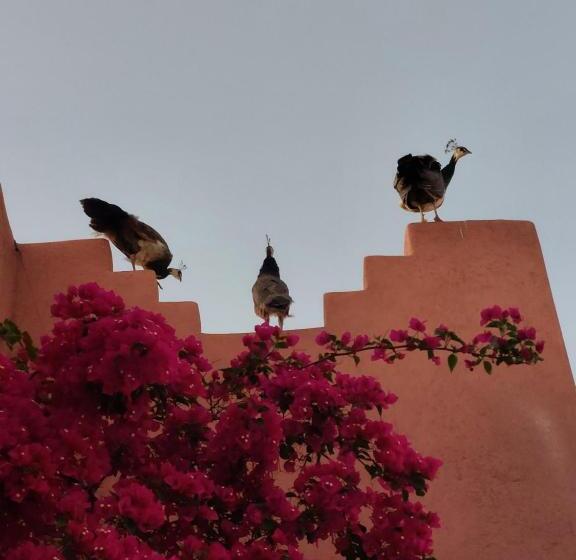 펜션 Villa Giulia & Soley