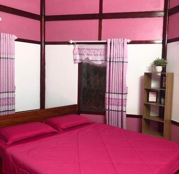 Pink House Sa đéc