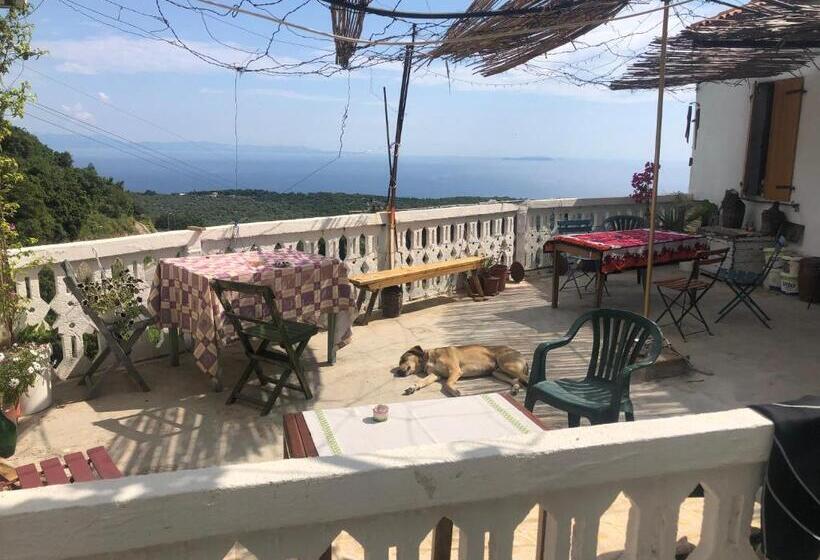 Shotgun Hostel & Guesthouse