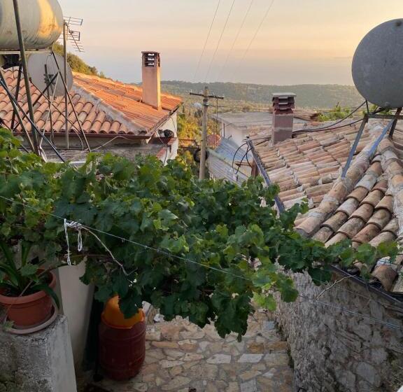 Shotgun Hostel & Guesthouse