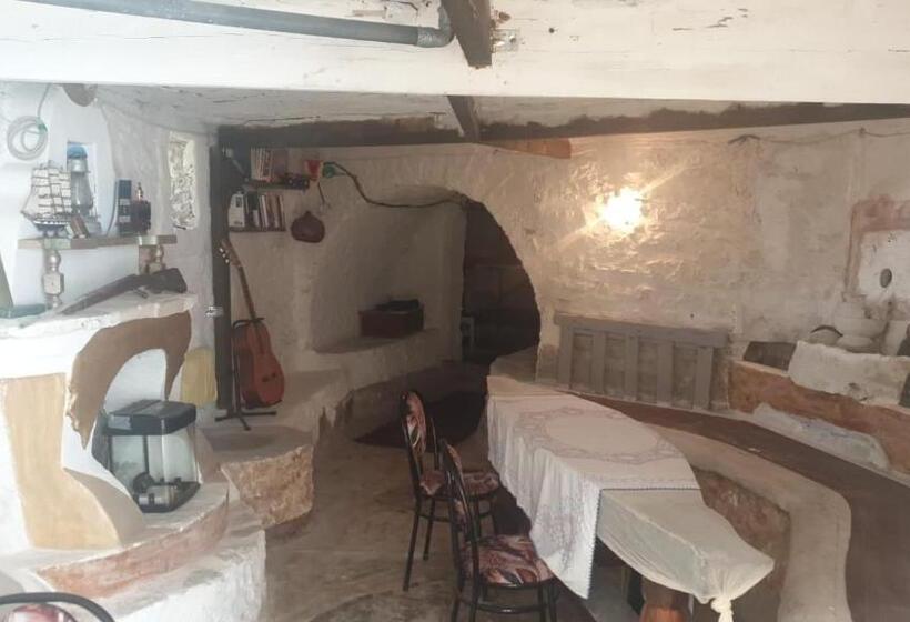 Shotgun Hostel & Guesthouse