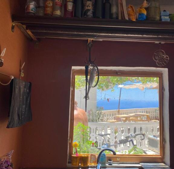 Shotgun Hostel & Guesthouse
