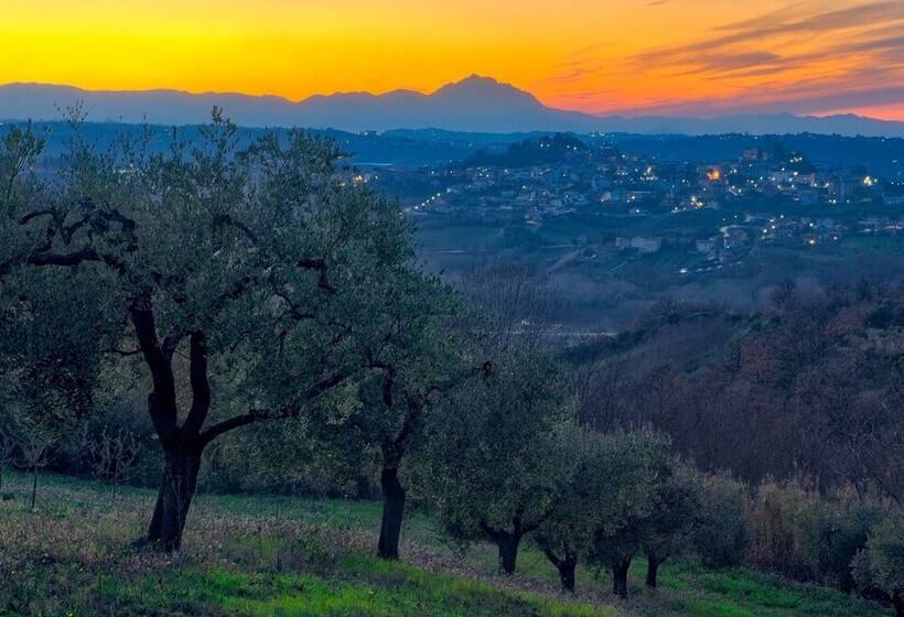 La Casa Del Vino   B&b