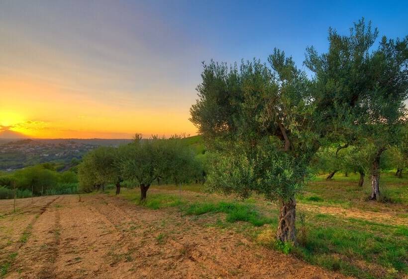 La Casa Del Vino   B&b