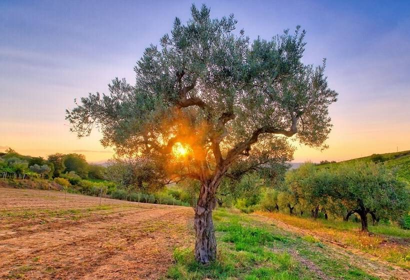 La Casa Del Vino   B&b