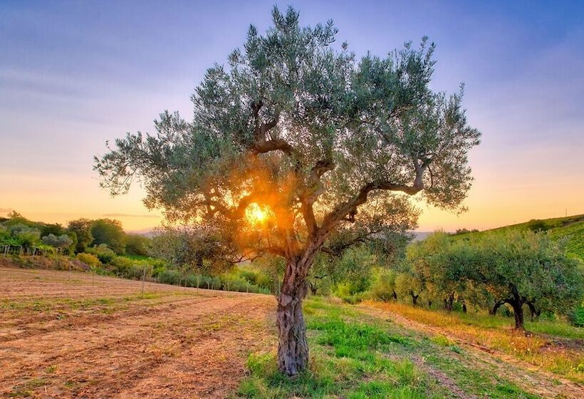 La Casa Del Vino   B&b