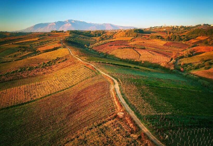 La Casa Del Vino   B&b