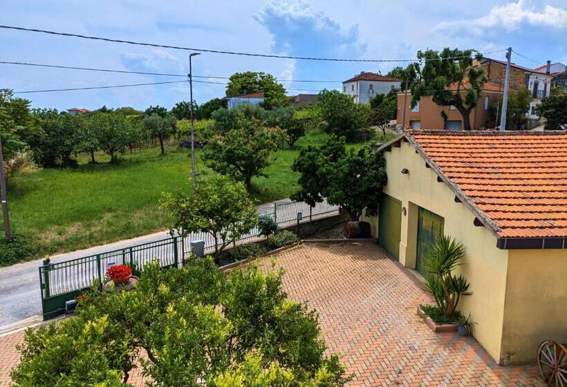 La Casa Del Vino   B&b