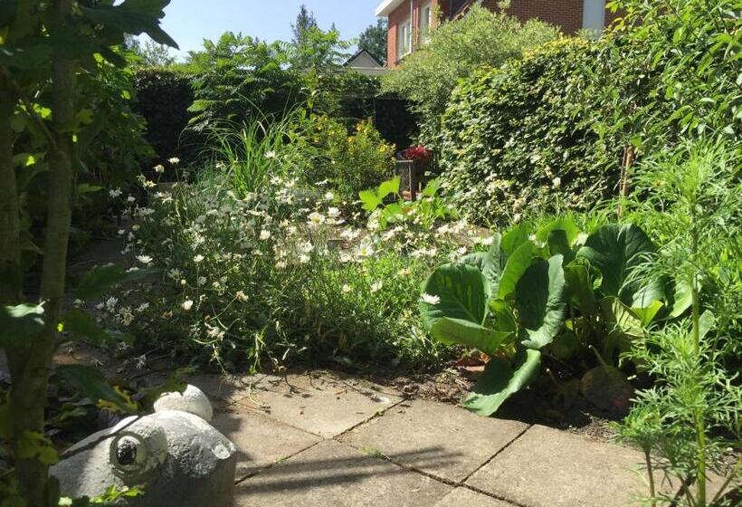 B&b  T Gezellig Huizeke