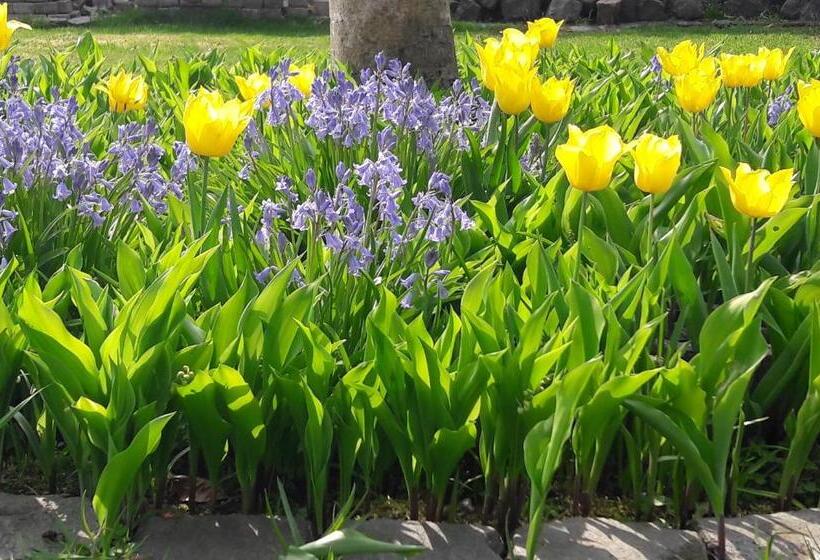 B&b  T Gezellig Huizeke