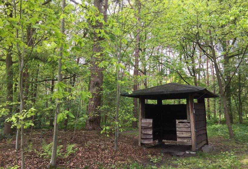 B&b  T Gezellig Huizeke