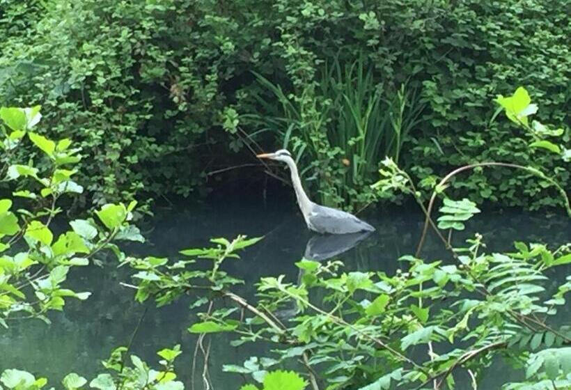 B&b  T Gezellig Huizeke