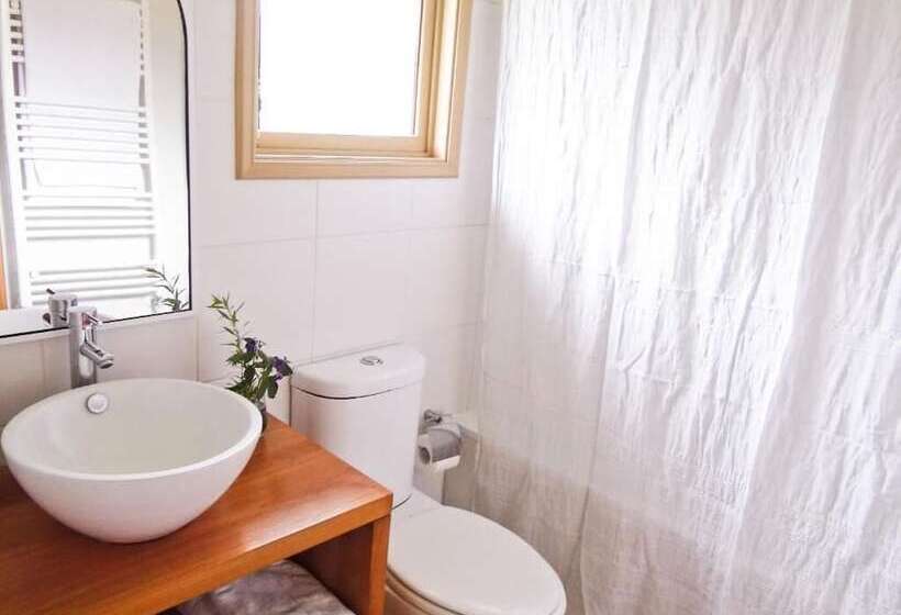 ベッドアンドブレックファースト Amadeus Hotel Boutique