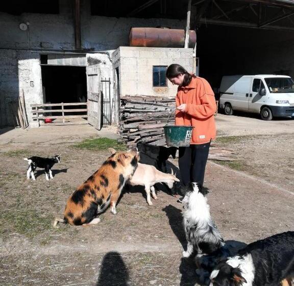 ベッドアンドブレックファースト Ferme Les Poneys De La Durme