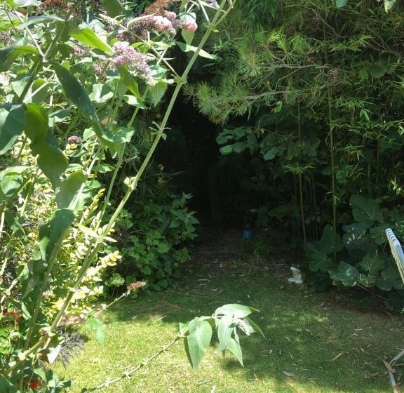 Bed and Breakfast L Atypique