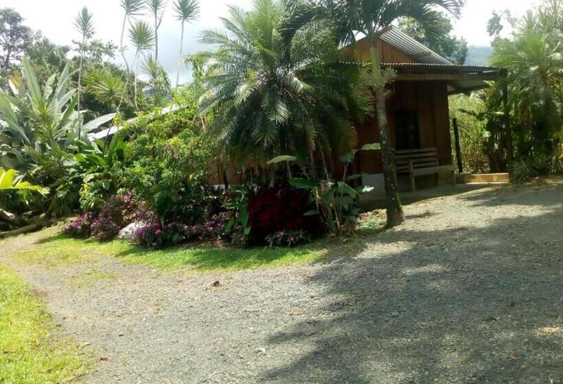 مبيت وإفطار Posada Rio Celeste In