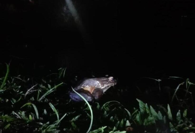 مبيت وإفطار Posada Rio Celeste In