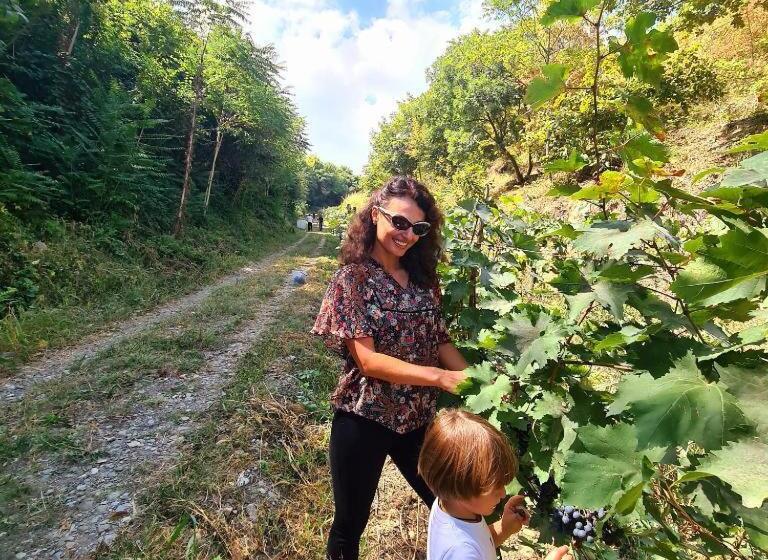 هتل Art House Koshki