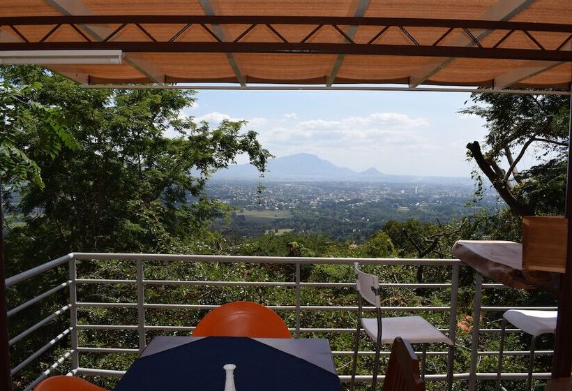 ホテル Edelwyss Inn