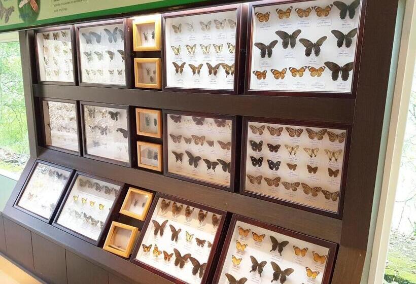 پانسیون 拉拉山周家渡假旅館