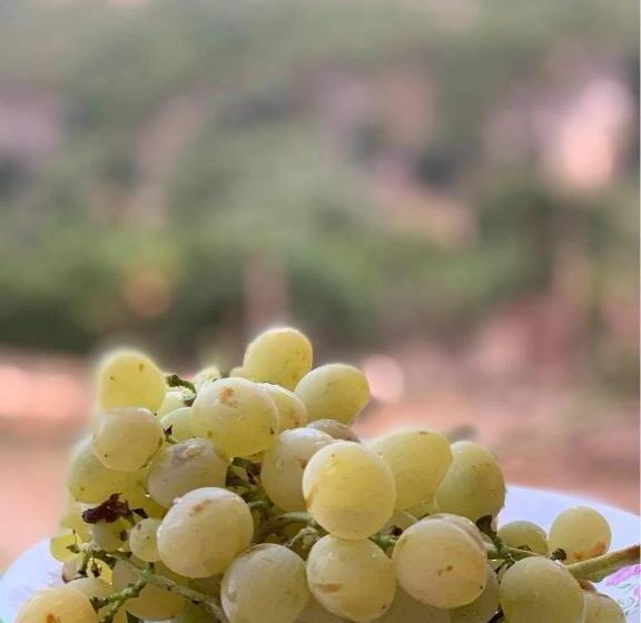 膳宿费 Guest House Bracaj